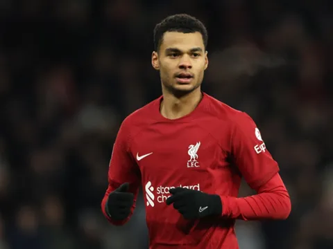 Koeman nêu lý do Gakpo gặp khó ở Liverpool