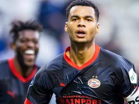 Gary Neville: Man United không cần Gakpo