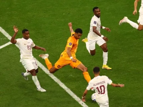 "Lại là Cody Gakpo"