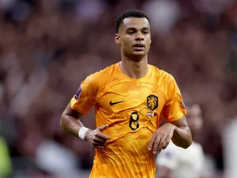 "Gakpo có tiềm năng, nhưng không phải là siêu tài năng"