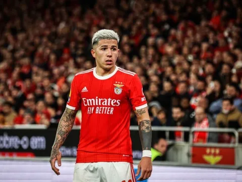 Chelsea rục rịch nổ bom tấn Enzo Fernandez, Benfica liền có câu trả lời