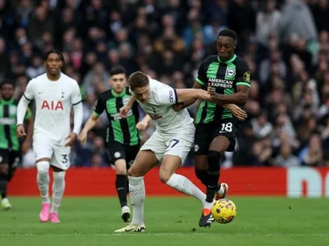 “Biếu” phạt đền cho Brighton, sao Tottenham bị chỉ trích dữ dội