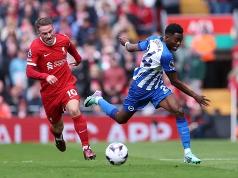 Alexis Mac Allister đánh giá cao nỗ lực của Brighton