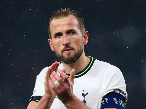 Kane bối rối sau khi Conte bị sa thải