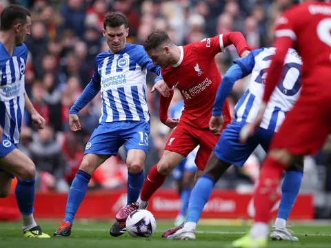 HLV Brighton choáng ngợp trước 1 cầu thủ Liverpool