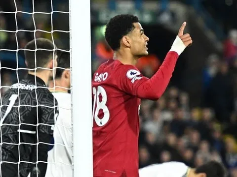 Klopp xác nhận người thay thế Firmino