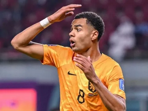 Man United có 2 lý do để tránh xa Cody Gakpo