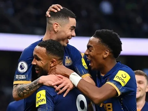 Newcastle đang bay cao