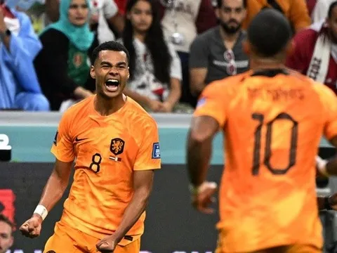 Quá bùng cháy, Gakpo lại nổ súng khiến Qatar không thể ngẩng cao đầu