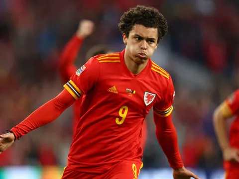 "Brennan Johnson muốn đến Spurs hơn Chelsea"