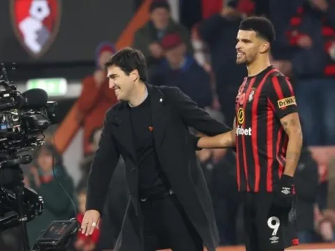 Tại sao Solanke đang toả sáng ở Bournemouth?