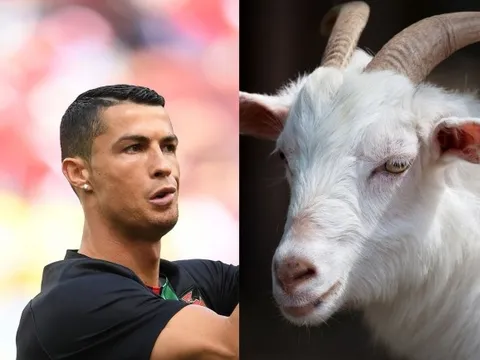 Thủ môn MU: 'Ronaldo là G.O.A.T'
