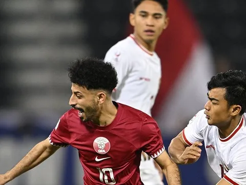 Thua đau Qatar, HLV Indonesia tố cáo: "Trọng tài thật quá đáng"