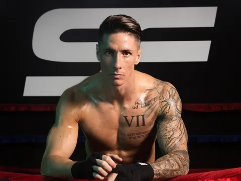 Torres đòi bồi thường hơn 800.000 euro