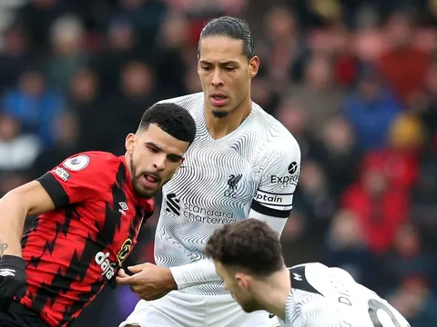 "Van Dijk dường như đã bỏ cuộc"