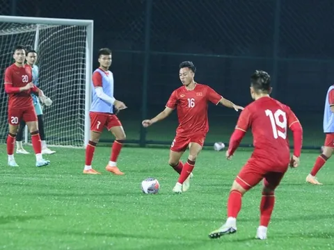 VFF báo doanh thu khủng, đặt mục tiêu lớn cho ĐT Việt Nam