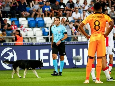 'Vị khách không mời' làm gián đoạn trận đấu của Hà Lan tại U21 EURO