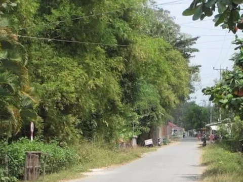 Vụ thi thể nữ ven đường: Lật tẩy “chân tướng” Nguyễn Tiến Dũng (SN 1983), hé lộ quan hệ bất ngờ