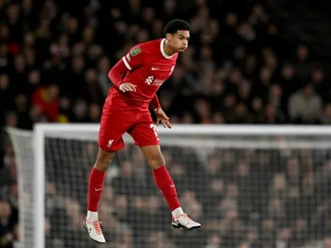 Vượt qua Fulham, Van Dijk khen ngợi 2 cầu thủ