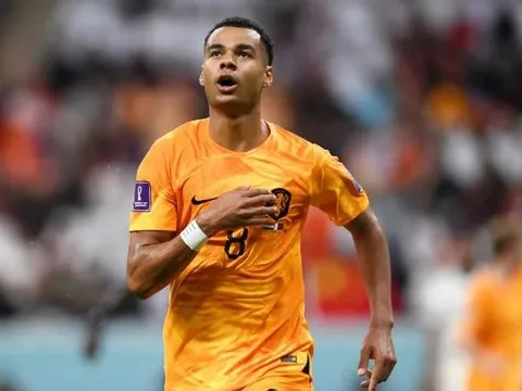 Xác nhận: Arsenal có cơ hội lớn chiêu mộ Cody Gakpo