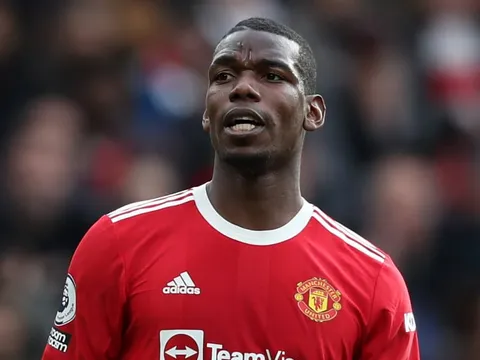 Sheringham: M.U nên thay Pogba bằng tiền vệ xuất sắc nhất thế giới