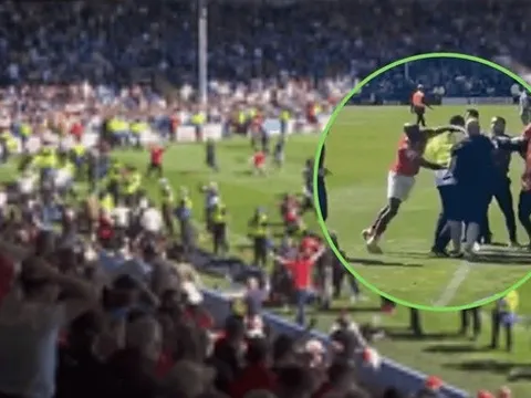 Sao York City tung cú đấm khiến cổ động viên bất tỉnh