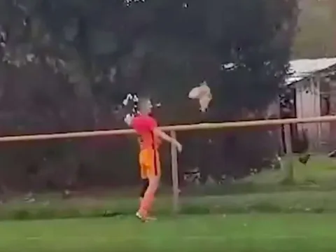 Cầu thủ bị đuổi khỏi sân vì giết 'kẻ quấy rối' trận đấu