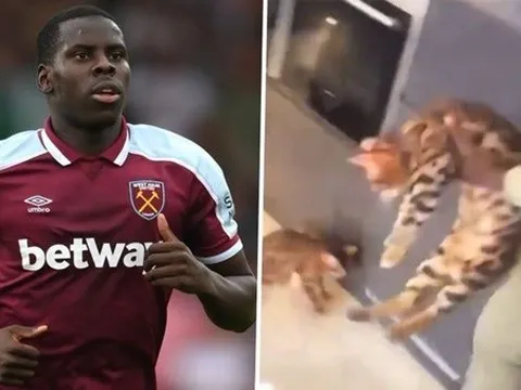 Cảnh sát vào cuộc, điều tra cựu sao Chelsea tội bạo hành