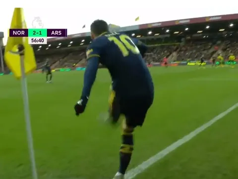 'Bạn có thể thấy Ozil đi thẳng về phía CĐV Norwich'