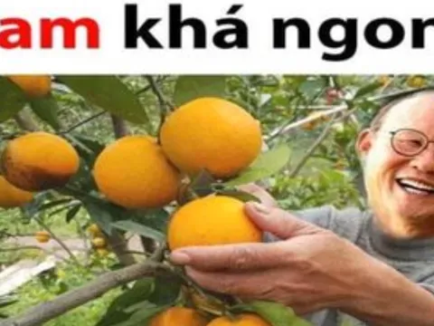 Cười té ghế với loạt ảnh chế trận U22 Việt Nam đè bẹp Campuchia