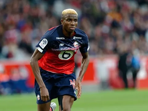 Cựu sao Chelsea nói về "quái thú vòng cấm" Ligue 1: "Cậu ta là sát thủ đích thực"