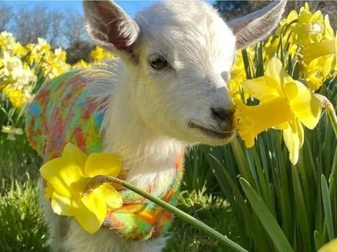 Đi sau về trước: 3 tuổi tưởng chậm mà chắc, bước vào trung niên tăng tốc mạnh, tài sản bật tăng rõ rệt