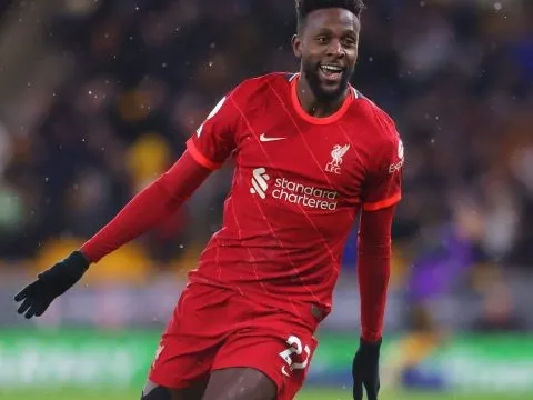 'Milan nên mua Origi, cậu ấy sẽ ghi rất nhiều bàn ở Serie A'