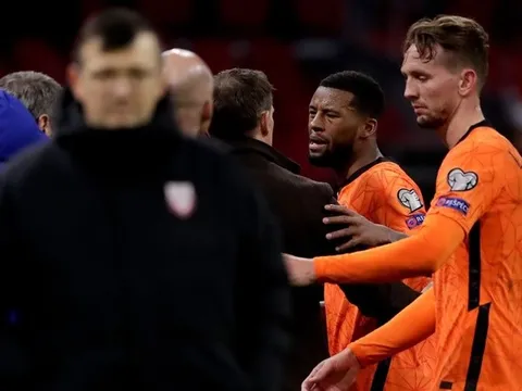 Hà Lan gặp vấn đề! Sao Liverpool nổi điên với HLV trưởng vì 'cụt hứng'