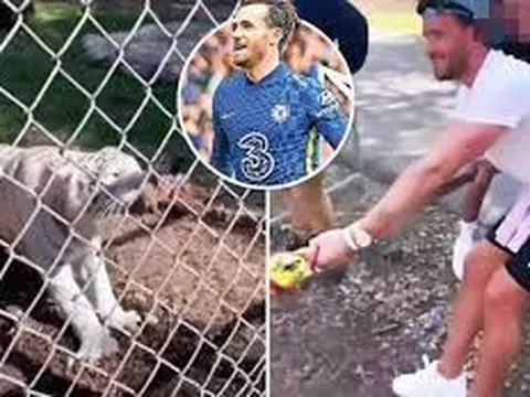 Kéo co với hổ, sao Chelsea bị hội bảo vệ động vật chỉ trích