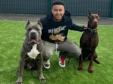 Lingard bị chỉ trích sau khi đăng ảnh động vật