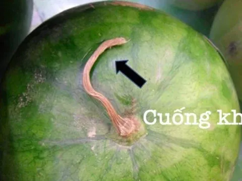 Mẹo chọn hoa quả ngày hè an toàn: 10 loại quả ngon ngọt, tươi sạch