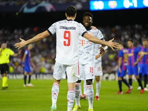 Rượu vang hảo hạng Lewandowski