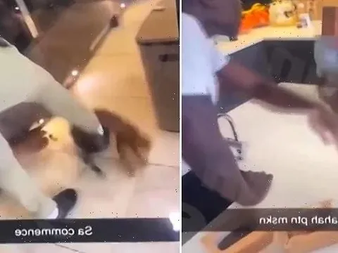 Kurt Zouma gặp rắc rối vì hành hạ thú cưng