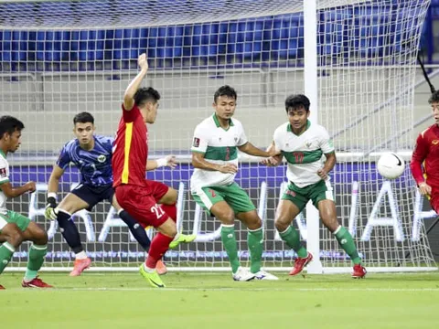 Thống kê cho thấy sự vượt trội của Việt Nam so với Indonesia