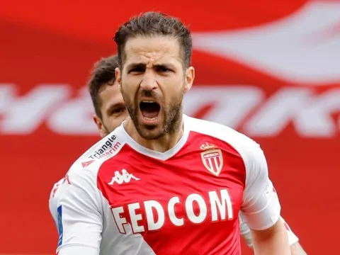 Vì 'quái vật tuyến giữa', Fabregas chấp nhận có lỗi với Chelsea