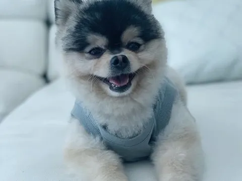 Mức lương khủng Timo Werner sẽ nhận nếu tới Chelsea