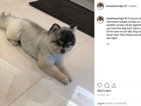 Icardi, Lukaku, Bale và 10 ngôi sao lớn vẫn chưa rõ bến đỗ trong mùa Hè 2019