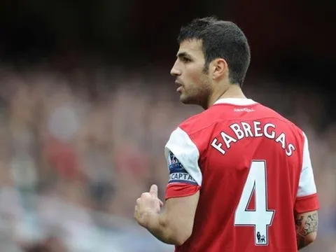 Tập buổi đầu cùng Arsenal, Fabregas đã khiến một đàn anh 'phiền lòng'