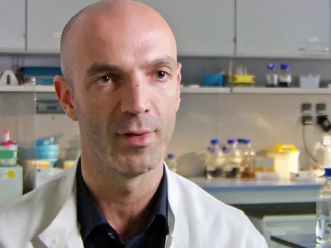 Chuyên gia virus đưa ra khẳng định, CĐV Liverpool tiếp tục hoang mang