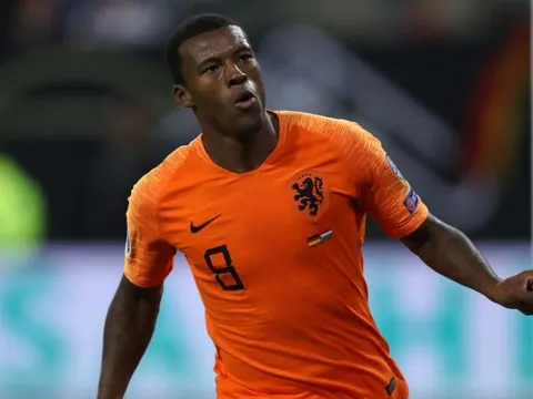 CĐV Liverpool: 'Wijnaldum ở Hà Lan giống những gì fan M.U nghĩ về Pogba'