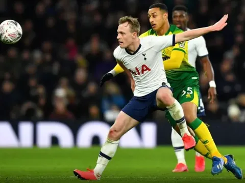 Fan Tottenham: "Cậu ấy khiến tôi nhớ Scott Parker, hay hơn cả Winks"
