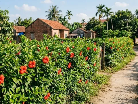 Món canh “từ hàng rào” gây tò mò: Đặc sản Ninh Bình khiến du khách ăn là nhớ