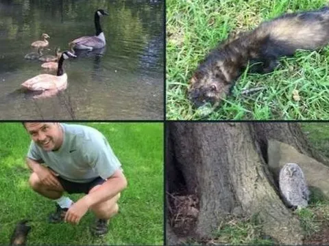 Những bài đăng trên MXH cho thấy siêu sao bóng đá cũng có lúc đầu óc 'biêng biêng'