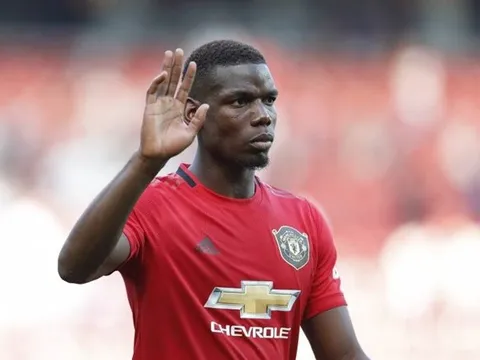 Berbatov: 'Tôi tận mắt chứng kiến Pogba thể hiện điều đó'